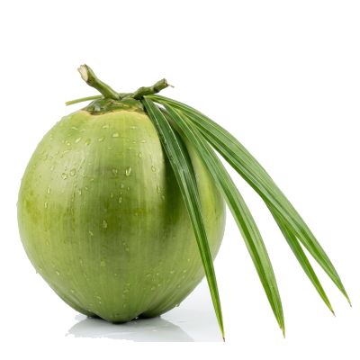 coconut